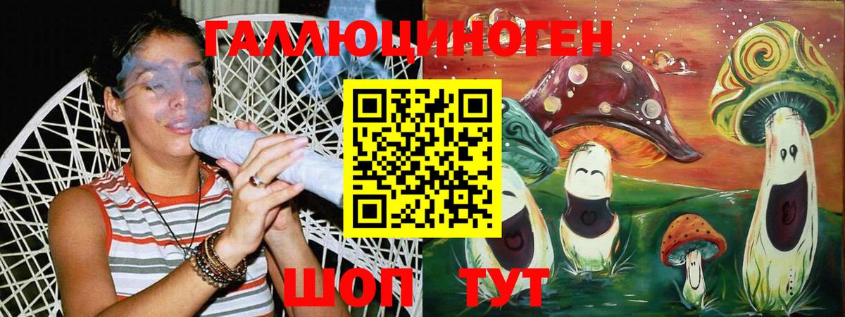 Муром  даркнет сайт  Вход с VPN  Галлюциногенные грибы MAGIC MUSHROOMS 