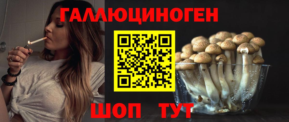Псилоцибиновые грибы Psilocybine cubensis Муром